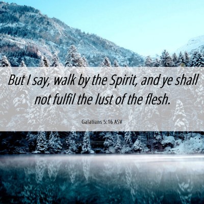 Picture 06 - Galatians 5:16 ASV - But I say, walk by the Spirit, and ye shall not - Bible Verse Picture