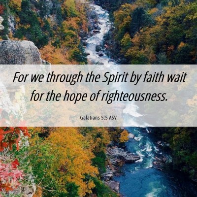 Picture 06 - Galatians 5:5 ASV - For we through the Spirit by faith wait for the - Bible Verse Picture