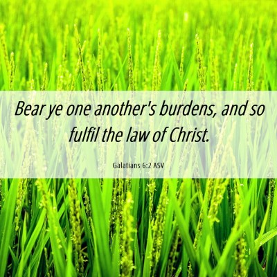 Picture 06 - Galatians 6:2 ASV - Bear ye one another's burdens, and so fulfil the - Bible Verse Picture
