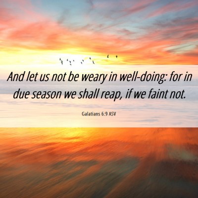 Picture 06 - Galatians 6:9 ASV - And let us not be weary in well-doing: for in due - Bible Verse Picture