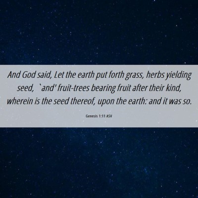 Picture 06 - Genesis 1:11 ASV - And God said, Let the earth put forth grass, - Bible Verse Picture