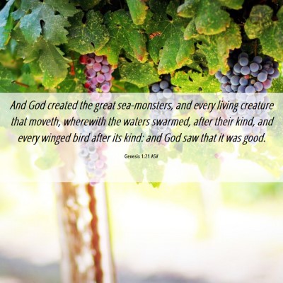 Picture 06 - Genesis 1:21 ASV - And God created the great sea-monsters, and every - Bible Verse Picture