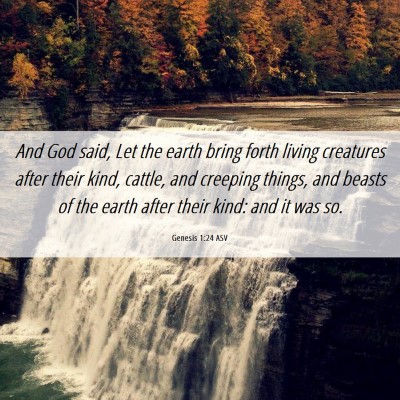 Picture 06 - Genesis 1:24 ASV - And God said, Let the earth bring forth living - Bible Verse Picture