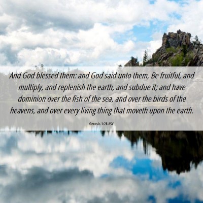 Picture 06 - Genesis 1:28 ASV - And God blessed them: and God said unto them, Be - Bible Verse Picture