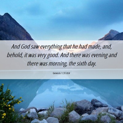 Picture 06 - Genesis 1:31 ASV - And God saw everything that he had made, and, - Bible Verse Picture