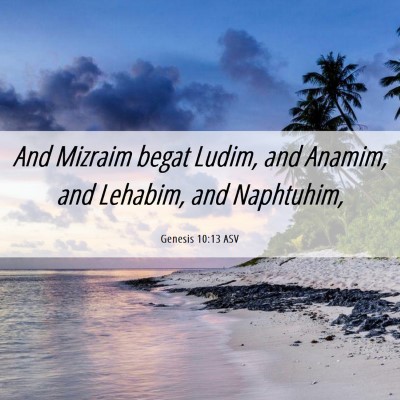 Picture 06 - Genesis 10:13 ASV - And Mizraim begat Ludim, and Anamim, and Lehabim, - Bible Verse Picture