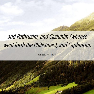 Picture 06 - Genesis 10:14 ASV - and Pathrusim, and Casluhim (whence went forth - Bible Verse Picture
