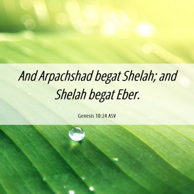 Picture 06 - Genesis 10:24 ASV - And Arpachshad begat Shelah; and Shelah begat - Bible Verse Picture