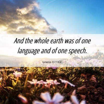 Picture 06 - Genesis 11:1 ASV - And the whole earth was of one language and of - Bible Verse Picture