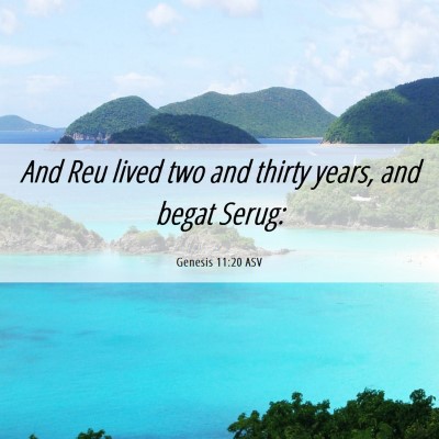 Picture 06 - Genesis 11:20 ASV - And Reu lived two and thirty years, and begat - Bible Verse Picture