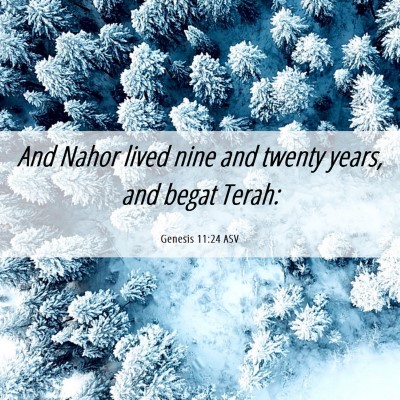 Picture 06 - Genesis 11:24 ASV - And Nahor lived nine and twenty years, and begat - Bible Verse Picture