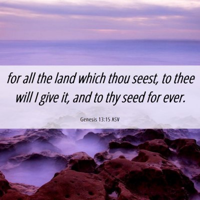 Picture 06 - Genesis 13:15 ASV - for all the land which thou seest, to thee will I - Bible Verse Picture