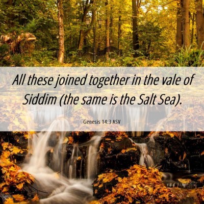 Picture 06 - Genesis 14:3 ASV - All these joined together in the vale of Siddim - Bible Verse Picture