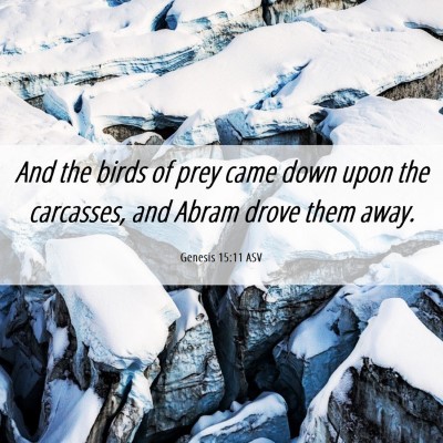 Picture 06 - Genesis 15:11 ASV - And the birds of prey came down upon the - Bible Verse Picture