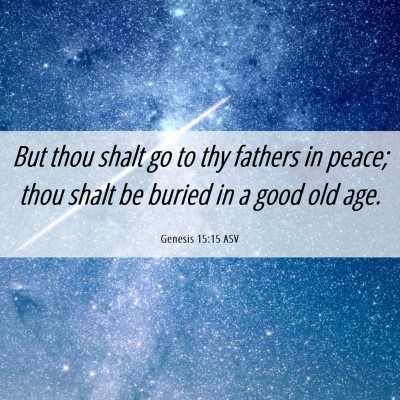 Picture 06 - Genesis 15:15 ASV - But thou shalt go to thy fathers in peace; thou - Bible Verse Picture