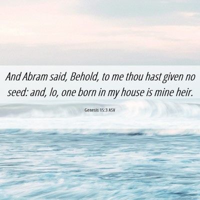 Picture 06 - Genesis 15:3 ASV - And Abram said, Behold, to me thou hast given no - Bible Verse Picture