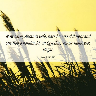 Picture 06 - Genesis 16:1 ASV - Now Sarai, Abram's wife, bare him no children: - Bible Verse Picture