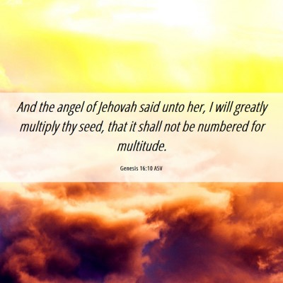 Picture 06 - Genesis 16:10 ASV - And the angel of Jehovah said unto her, I will - Bible Verse Picture