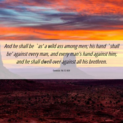 Picture 06 - Genesis 16:12 ASV - And he shall be `as' a wild ass among men; his - Bible Verse Picture