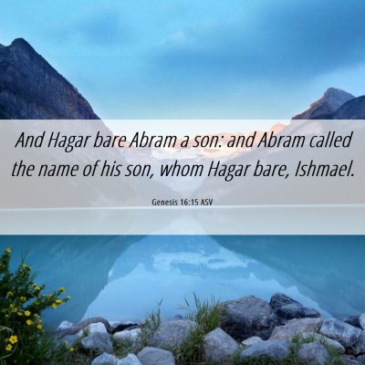 Picture 06 - Genesis 16:15 ASV - And Hagar bare Abram a son: and Abram called the - Bible Verse Picture