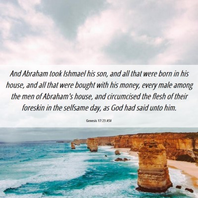 Picture 06 - Genesis 17:23 ASV - And Abraham took Ishmael his son, and all that - Bible Verse Picture