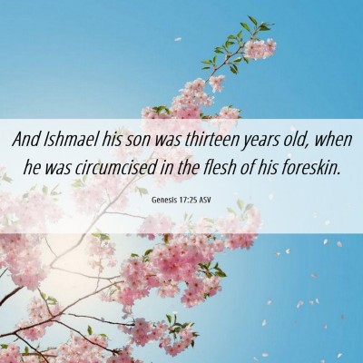Picture 06 - Genesis 17:25 ASV - And Ishmael his son was thirteen years old, when - Bible Verse Picture