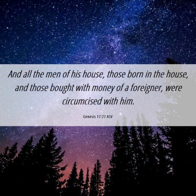 Picture 06 - Genesis 17:27 ASV - And all the men of his house, those born in the - Bible Verse Picture