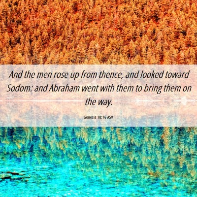 Picture 06 - Genesis 18:16 ASV - And the men rose up from thence, and looked - Bible Verse Picture