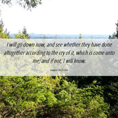 Picture 06 - Genesis 18:21 ASV - I will go down now, and see whether they have - Bible Verse Picture