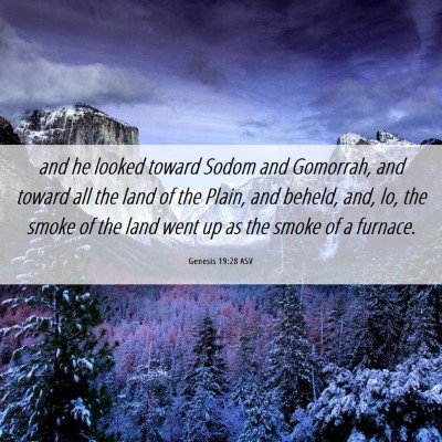 Picture 06 - Genesis 19:28 ASV - and he looked toward Sodom and Gomorrah, and - Bible Verse Picture
