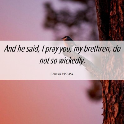 Picture 06 - Genesis 19:7 ASV - And he said, I pray you, my brethren, do not so - Bible Verse Picture