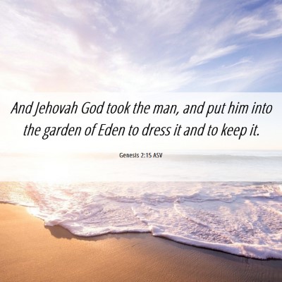 Picture 06 - Genesis 2:15 ASV - And Jehovah God took the man, and put him into - Bible Verse Picture
