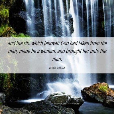 Picture 06 - Genesis 2:22 ASV - and the rib, which Jehovah God had taken from the - Bible Verse Picture
