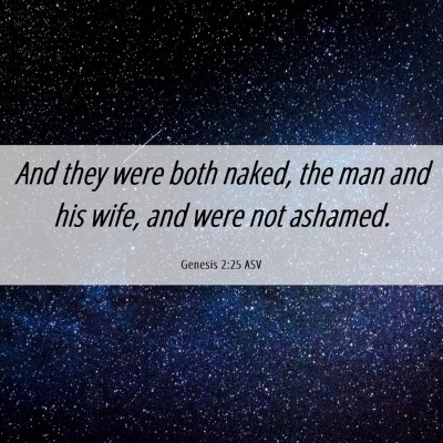 Picture 06 - Genesis 2:25 ASV - And they were both naked, the man and his wife, - Bible Verse Picture