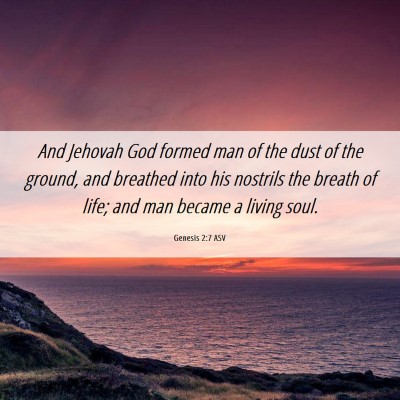 Picture 06 - Genesis 2:7 ASV - And Jehovah God formed man of the dust of the - Bible Verse Picture