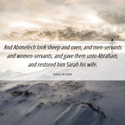 Picture 06 - Genesis 20:14 ASV - And Abimelech took sheep and oxen, and - Bible Verse Picture