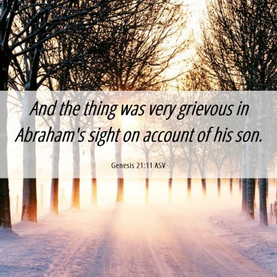 Picture 06 - Genesis 21:11 ASV - And the thing was very grievous in Abraham's - Bible Verse Picture