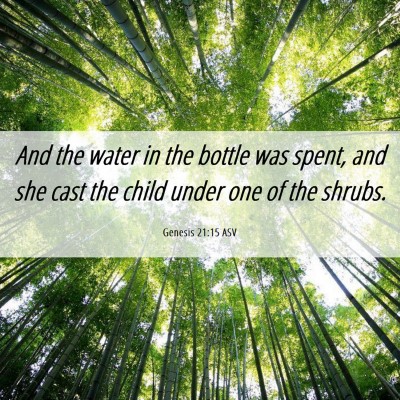 Picture 06 - Genesis 21:15 ASV - And the water in the bottle was spent, and she - Bible Verse Picture
