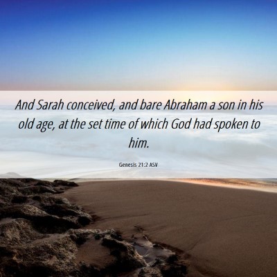 Picture 06 - Genesis 21:2 ASV - And Sarah conceived, and bare Abraham a son in - Bible Verse Picture