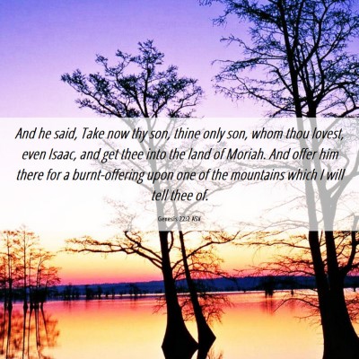 Picture 06 - Genesis 22:2 ASV - And he said, Take now thy son, thine only son, - Bible Verse Picture