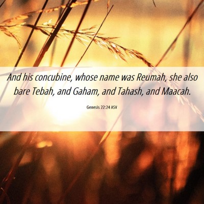 Picture 06 - Genesis 22:24 ASV - And his concubine, whose name was Reumah, she - Bible Verse Picture