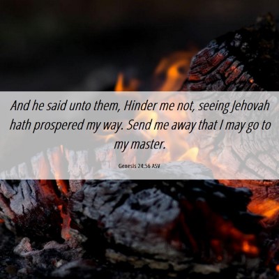 Picture 06 - Genesis 24:56 ASV - And he said unto them, Hinder me not, seeing - Bible Verse Picture