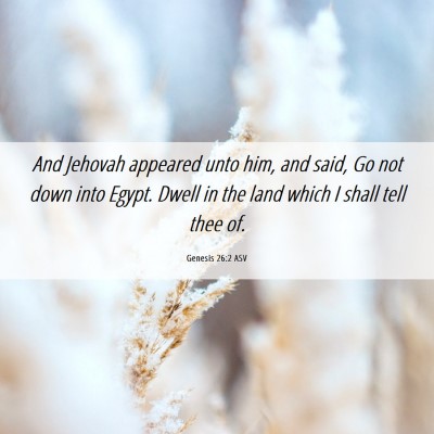 Picture 06 - Genesis 26:2 ASV - And Jehovah appeared unto him, and said, Go not - Bible Verse Picture