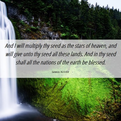 Picture 06 - Genesis 26:4 ASV - And I will multiply thy seed as the stars of - Bible Verse Picture