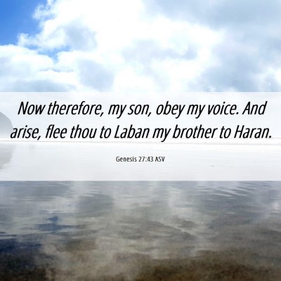 Picture 06 - Genesis 27:43 ASV - Now therefore, my son, obey my voice. And arise, - Bible Verse Picture