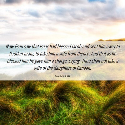 Picture 06 - Genesis 28:6 ASV - Now Esau saw that Isaac had blessed Jacob and - Bible Verse Picture