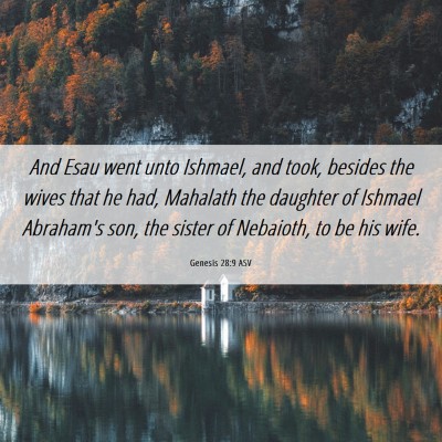 Picture 06 - Genesis 28:9 ASV - And Esau went unto Ishmael, and took, besides the - Bible Verse Picture