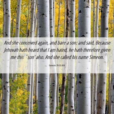 Picture 06 - Genesis 29:33 ASV - And she conceived again, and bare a son: and - Bible Verse Picture