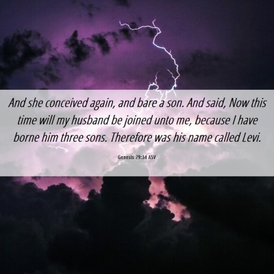 Picture 06 - Genesis 29:34 ASV - And she conceived again, and bare a son. And - Bible Verse Picture