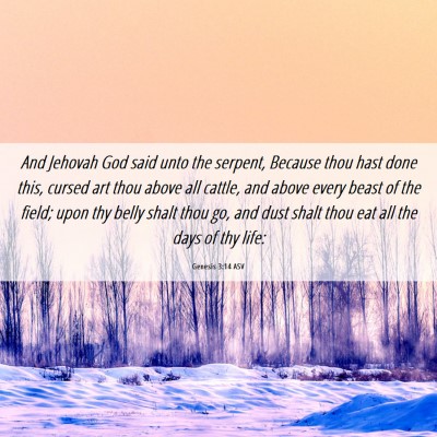 Picture 06 - Genesis 3:14 ASV - And Jehovah God said unto the serpent, Because - Bible Verse Picture